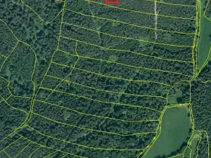 Prodej lesa, Zábrdí, 9676 m2