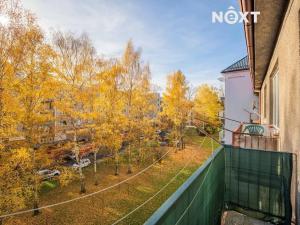 Prodej bytu 2+1, Šumperk, Revoluční, 55 m2