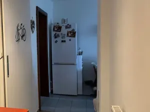 Prodej bytu 2+1, Teplice, Svojsíkova, 54 m2