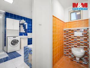 Prodej rodinného domu, Nechanice - Lubno, 238 m2