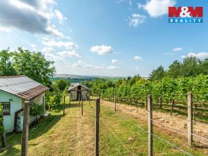 Prodej pozemku pro bydlení, Viničné Šumice, 3276 m2