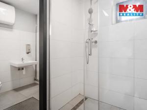 Pronájem kanceláře, Děčín - Děčín II-Nové Město, Benešovská, 320 m2