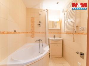 Prodej bytu 3+1, Brandýs nad Labem-Stará Boleslav - Brandýs nad Labem, Jasanová, 74 m2