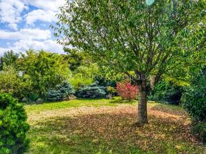 Prodej rodinného domu, Havlíčkův Brod, Ječná, 239 m2