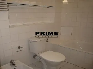 Pronájem bytu 4+1, Praha - Staré Město, Na Perštýně, 174 m2