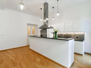 Pronájem bytu 3+kk, Praha - Vinohrady, Mánesova, 118 m2