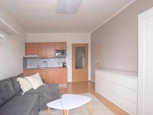 Pronájem bytu 1+kk, Brno, Božetěchova, 28 m2