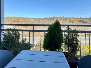 Pronájem bytu 1+kk, Brno, Božetěchova, 28 m2