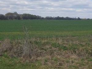 Dražba zahrady, Plzeň, 7558 m2