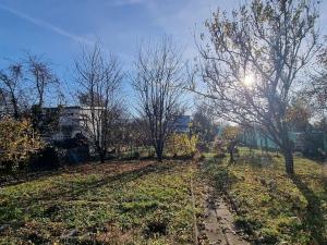 Prodej chaty, Hrušovany u Brna, 95 m2