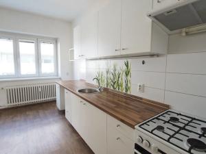 Pronájem bytu 2+1, Brno, Jircháře, 66 m2