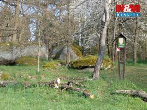 Prodej lesa, Petrovice - Žemličkova Lhota, 3719 m2