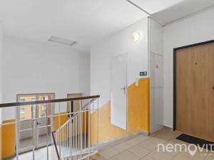 Prodej bytu 2+1, Praha - Vokovice, Alžírská, 51 m2