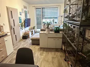 Prodej bytu 3+1, Žatec, Hájkova, 61 m2