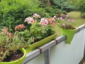 Pronájem bytu 2+1, Teplice, Gagarinova, 50 m2