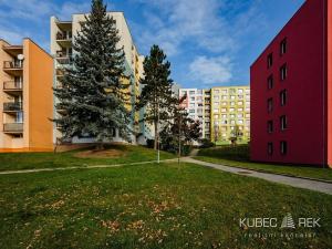 Prodej bytu 2+kk, Jindřichův Hradec, sídliště Vajgar, 43 m2