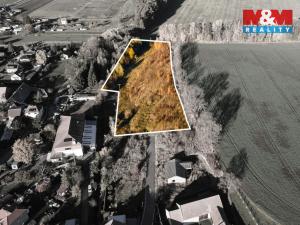 Prodej pozemku pro bydlení, Čepí, 15065 m2