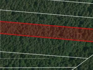 Prodej lesa, Libín - Slavošovice, 32765 m2