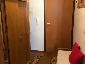 Pronájem bytu 1+kk, Olomouc, Voskovcova, 31 m2