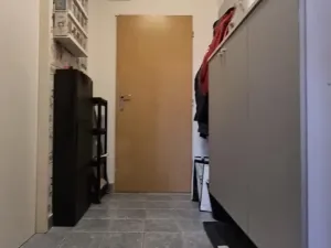 Prodej bytu 2+kk, Brno, třída Generála Píky, 45 m2