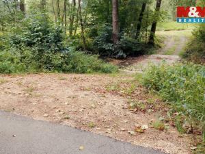 Prodej louky, Bystřice, 1741 m2