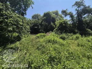 Dražba pozemku pro bydlení, Ondřejov, 4244 m2