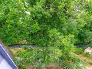 Pronájem bytu 1+kk, Tuchoměřice, V Kněžívce, 25 m2