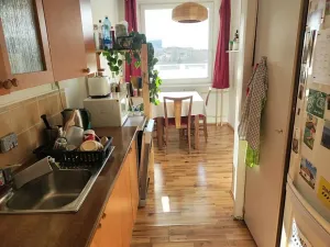 Pronájem bytu 3+1, Praha - Nusle, U Děkanky, 75 m2