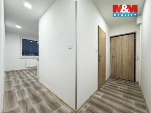 Pronájem bytu 1+1, Ostrov, Lidická, 35 m2