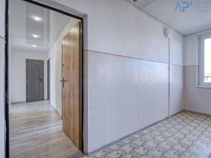 Prodej bytu 3+1, Most, Lidická, 60 m2