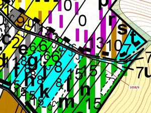 Dražba lesa, Veverské Knínice, 77 m2