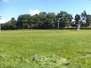 Dražba louky, Mirovice, 1251 m2