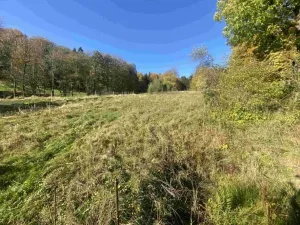 Dražba louky, Zdislava, 1384 m2