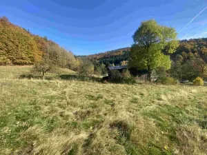 Dražba louky, Zdislava, 1384 m2