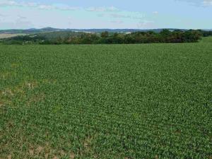 Prodej pozemku, Dobrkovice, 30944 m2