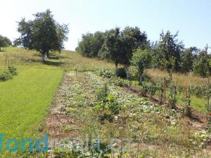 Prodej pozemku, Podolí, 10906 m2