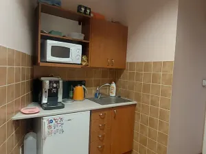 Pronájem obchodního prostoru, Praha, Vinohradská, 239 m2