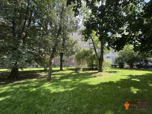 Pronájem bytu 2+1, Havířov, Dělnická, 48 m2