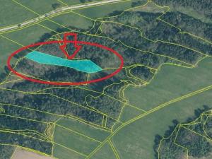 Prodej lesa, Nové Hrady, 5524 m2