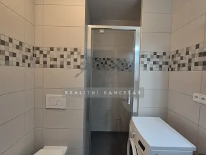 Pronájem bytu 1+1, Brno, 28 m2