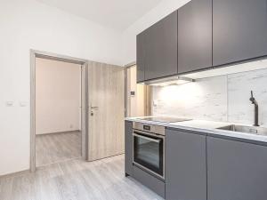 Pronájem bytu 1+1, Praha - Vršovice, Košická, 30 m2