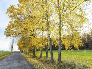 Prodej bytu 3+kk, Ostrovec, 48 m2