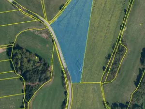 Prodej pole, Boršov, 33442 m2