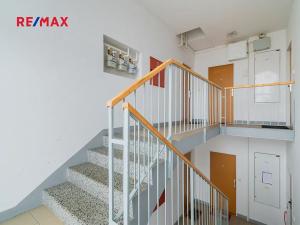 Pronájem bytu 1+kk, Přeštice, Na Chmelnicích, 41 m2