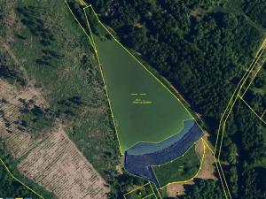 Pronájem rybníku, Komárovice, 9025 m2