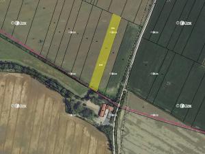 Prodej podílu pole, Přítluky, 5354 m2