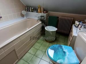 Prodej rodinného domu, Volary, Mlýnská, 280 m2