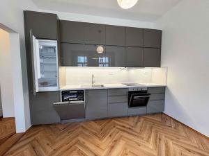 Pronájem bytu 2+kk, Praha - Karlín, Urxova, 50 m2