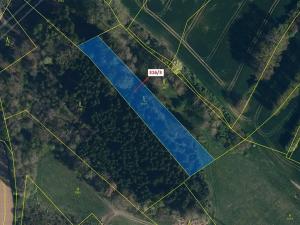 Dražba lesa, Olešná, 2554 m2