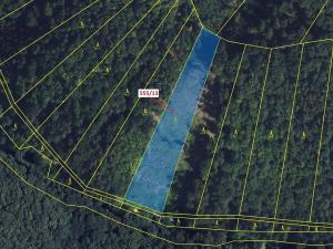 Dražba lesa, Vranová Lhota, 5798 m2